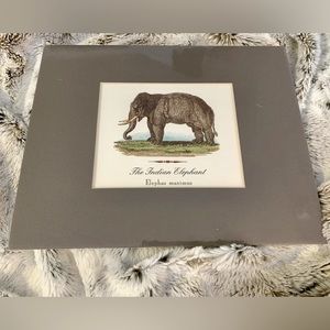 PRINT FOLIO EXOTIC ANIMALS MATTED PRINTS READY TO FRAME FOUR 8”X 10” PIER 1 BOX